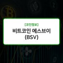 에스브이 이미지