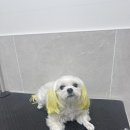 퓨어멍 이미지