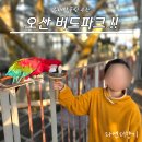 거북 파크 | 오산 버드파크 실내 동물원 재방문 후기