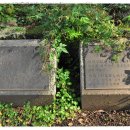 성읍리-2 이미지