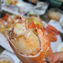 씨케이(CK) | 인천 연수동 바닷가재 맛집 ck 뉴욕바닷가재 솔직후기, 주차정보, 영업시간(예약 필수)[인천 연수동...