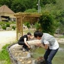 홍천 레인보우 이미지