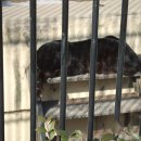 우치농장 이미지