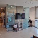 메디칼 세븐(7) 이미지