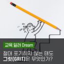 그릿(Grit) 이미지