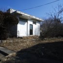 금산중앙초등학교 이미지