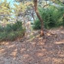 오태균음악비 이미지