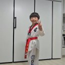 더차오름 태권도 이미지