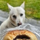 맘모스찜닭 이미지