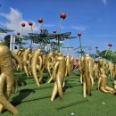 대건농장 이미지