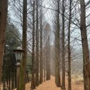 원주굽이길 14코스 흥업캠퍼스낭만길 이미지