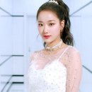 에이프릴펫 이미지