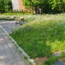 마음에 점을 찍다 이미지