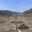 진중2리 이미지