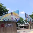 한국체육대학교 이미지