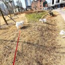 바르다펫 대전점 이미지