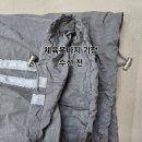 수성츄리닝