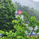 갤러리모텔 이미지