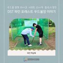 우드볼장 이미지