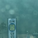 가보세숯불구이 | 천북굴축제맛집 굴찜 가보세굴수산 재방문하게되는 굴 맛집