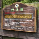 남산풋살경기장(주말) 이미지