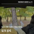 리블록솔루션 | 요가 블록으로 테슬라 모델Y 주니퍼 차박 평탄화하기 🛏 (아이템 log #3)