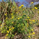 서북동마을 이미지