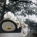 서울메디카약국 | [2020.08.05] Hoy