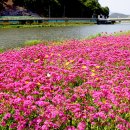 황룡강변 이미지