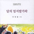 허영둘시집 / 달의 엄지발가락 이미지