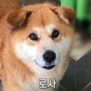 율하수약국 앞 이미지