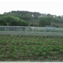 일송농장 이미지