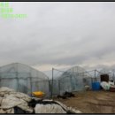 모전영농조합법인 이미지