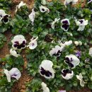 경기교통행정사사무소 이미지