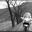 화이트 앤 블랙 이미지