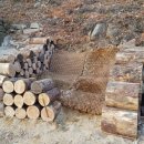 자연힐링센터 이미지