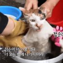 다온셀프세차장