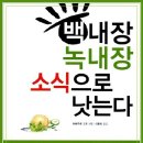 성인 후 실명 원인, 황반변성증이 늘고 있다 이미지