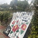 제주지인 게스트하우스 | [내돈내산] 제주지인게스트하우스 / 코지 힐링 히피를 곁들인 / 유명해져 아니안돼 / 제주도 게스트...