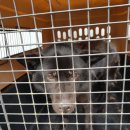 월봉청솔아파트(1차) 이미지