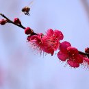 (사)부산광역시수영구장애인협회 이미지