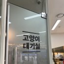 루나동물병원 이미지