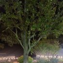 곡성 기차마을 애견동반펜션 이미지