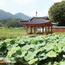 연담마을 이미지