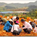 석호농장 이미지