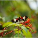 호길농장 이미지