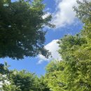 대도여인숙 | 인천 부평구 삼산동 삼계탕 맛집 경복궁삼계탕 방문기