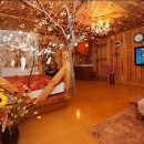 오색연가 이미지