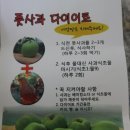 애플빌 | 풋사과 다이어트, 풋사과, 풋사과 식초(fr.사과깡패님) 요녀석들 완전 물건이네