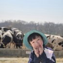 샘물목장 이미지